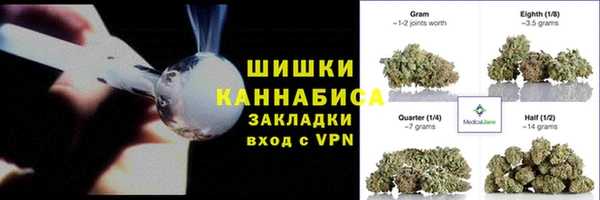 дживик Майский