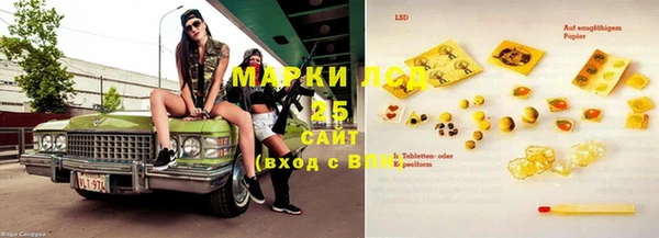 дживик Майский