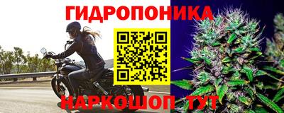 спайс Бузулук