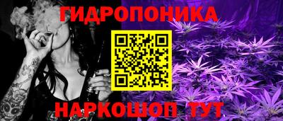 прущие грибы Кулебаки