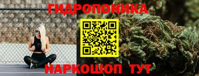 прущие грибы Кулебаки