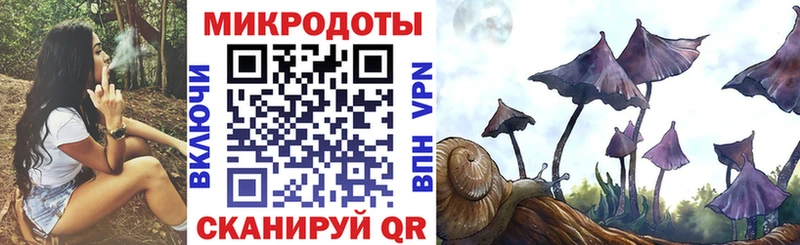 закладка  Шали  Галлюциногенные грибы Magic Shrooms 