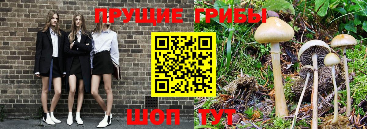 Псилоцибиновые грибы GOLDEN TEACHER Шали