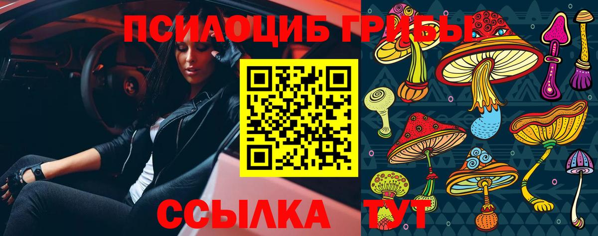 Шали  Псилоцибиновые грибы мухоморы  Вход с VPN 