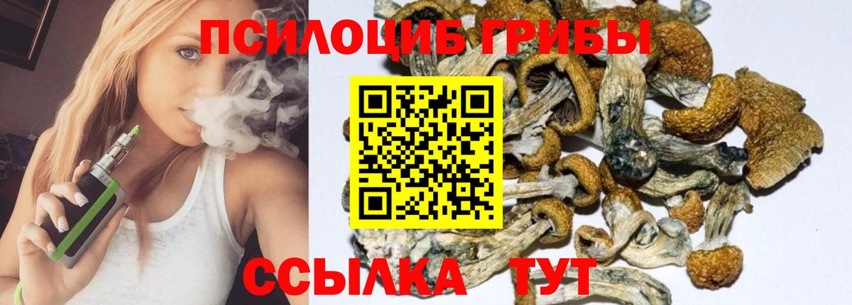 Псилоцибиновые грибы Psilocybine cubensis  Шали 